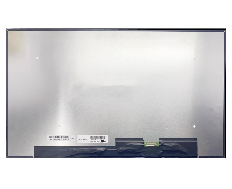 LQ173M1JW12 360Hz - additional view 